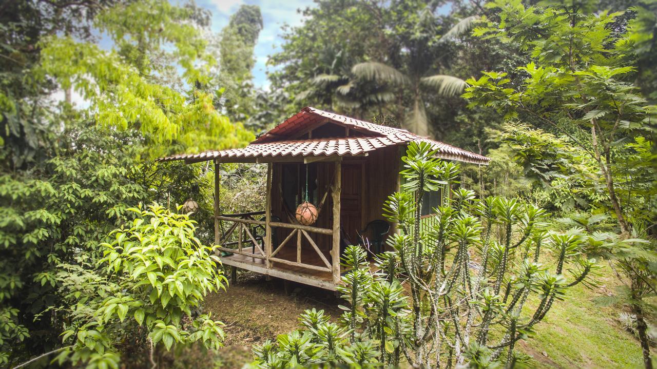 Naguala Jungle Lodge Drakes Bay Extérieur photo