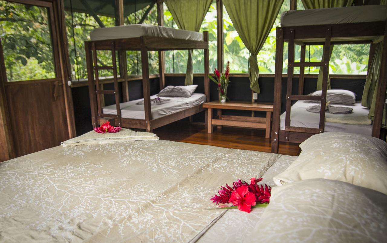 Naguala Jungle Lodge Drakes Bay Extérieur photo